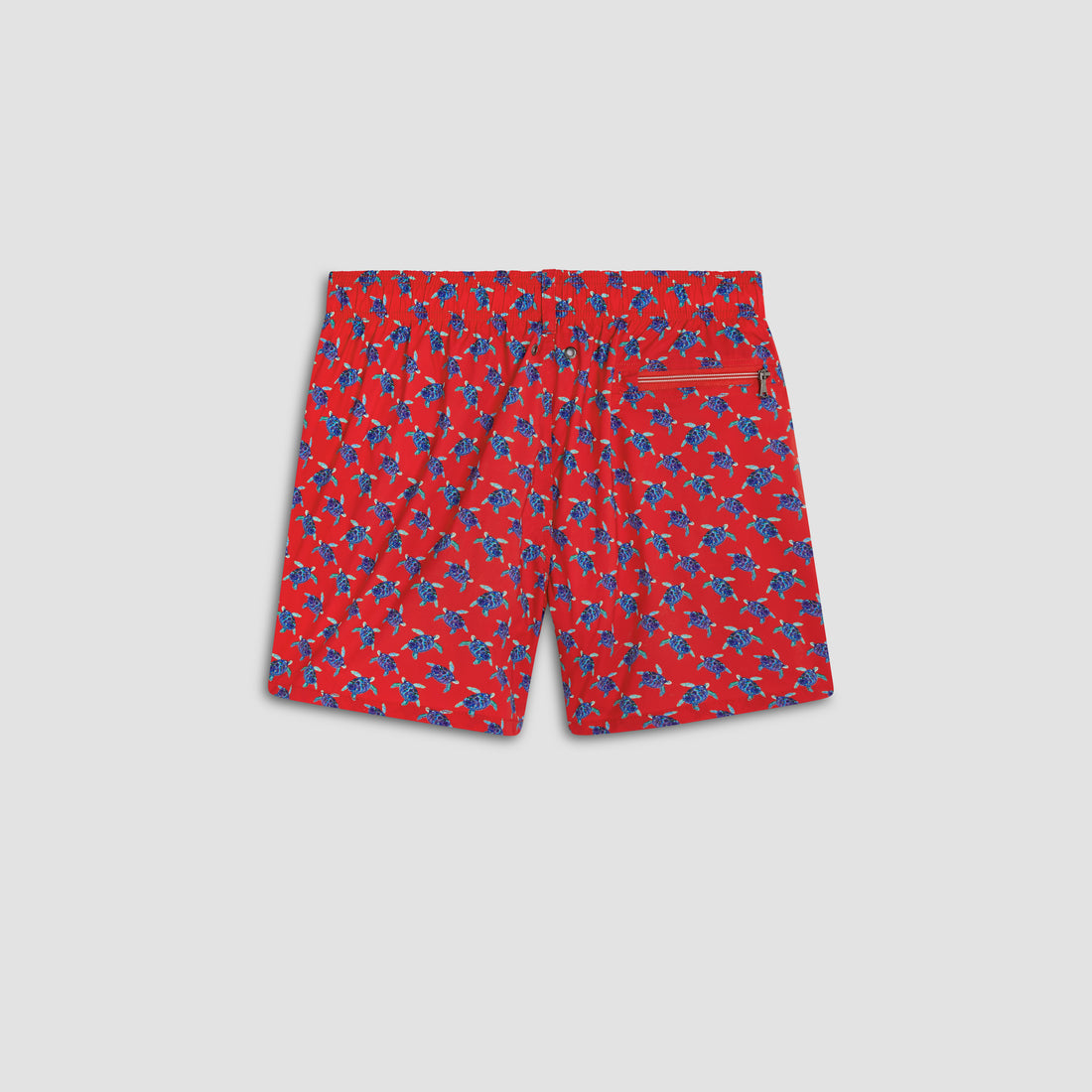 Max Sea Turtles Swim Trunks