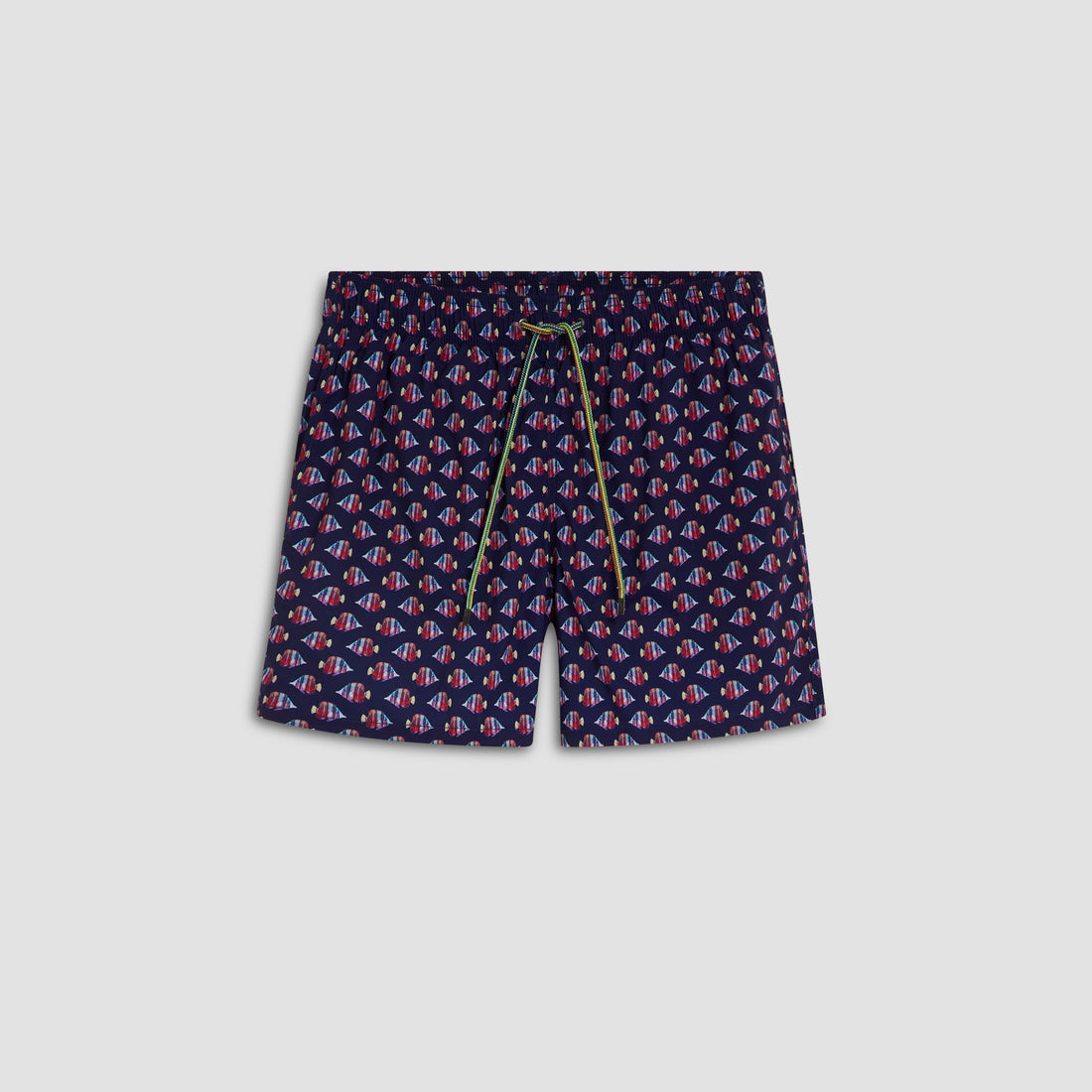 Archer Striped Fish Swim Trunks