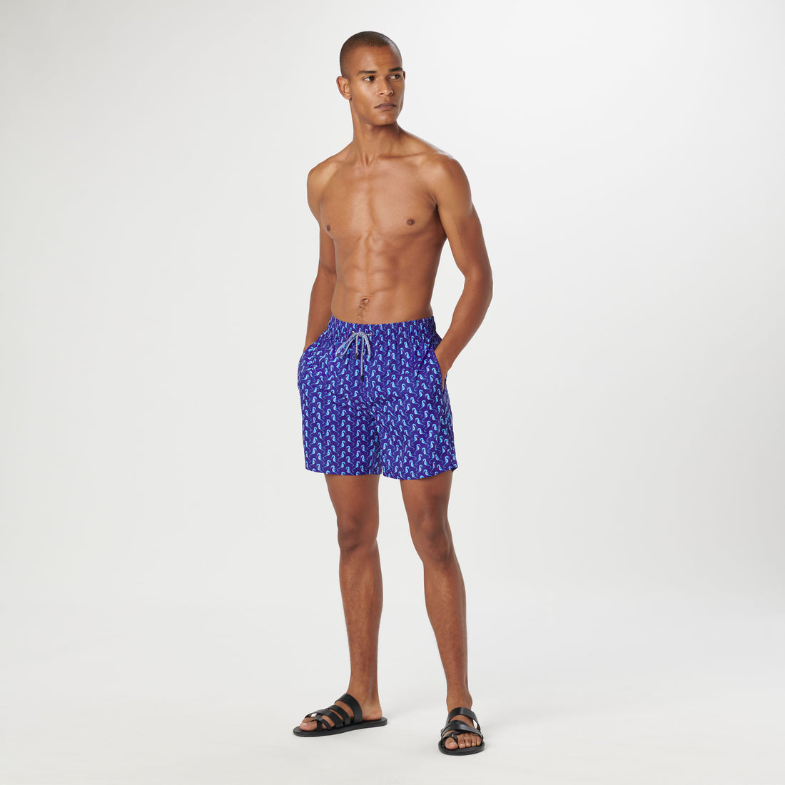 Adrian Sea Horse Swim Trunks