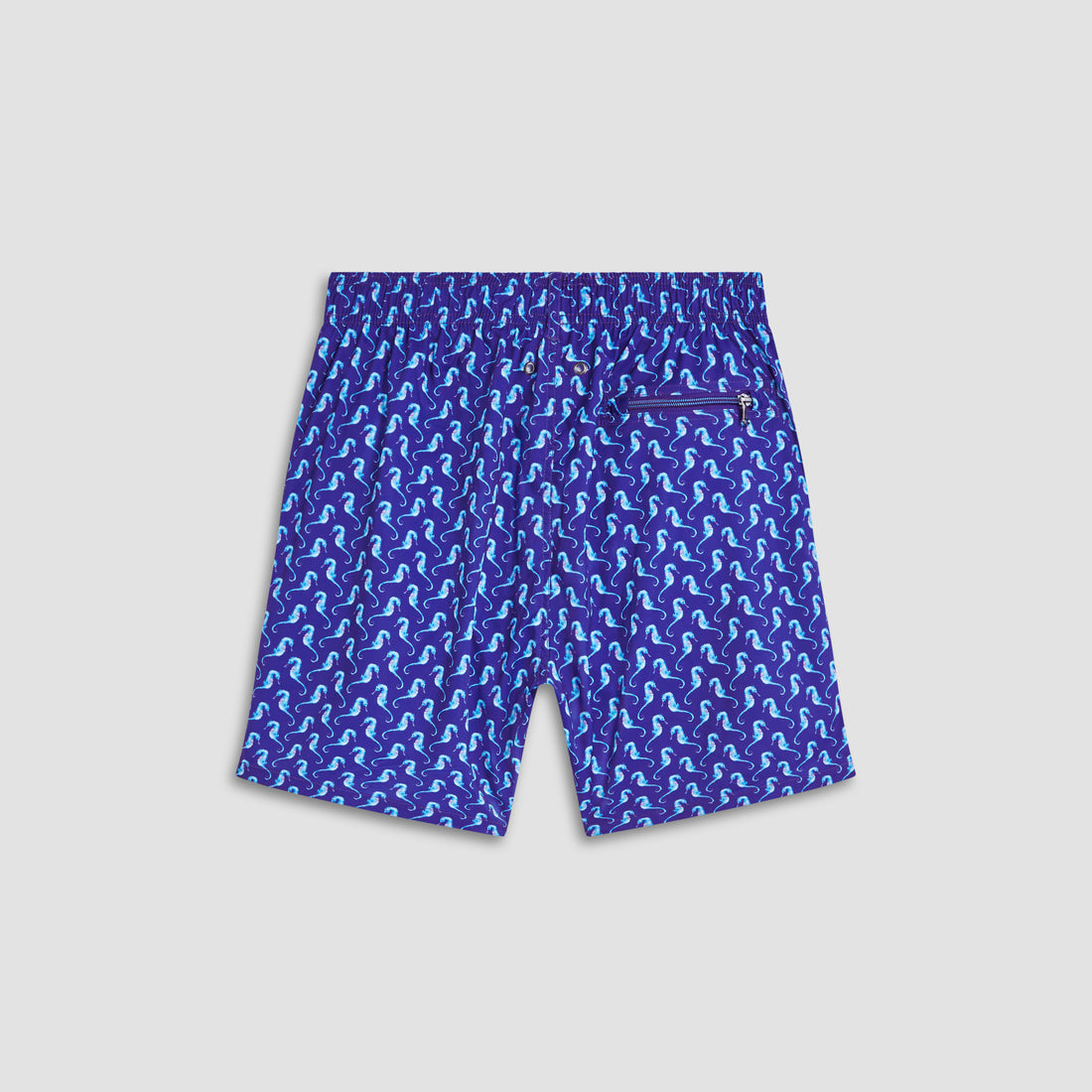 Adrian Sea Horse Swim Trunks