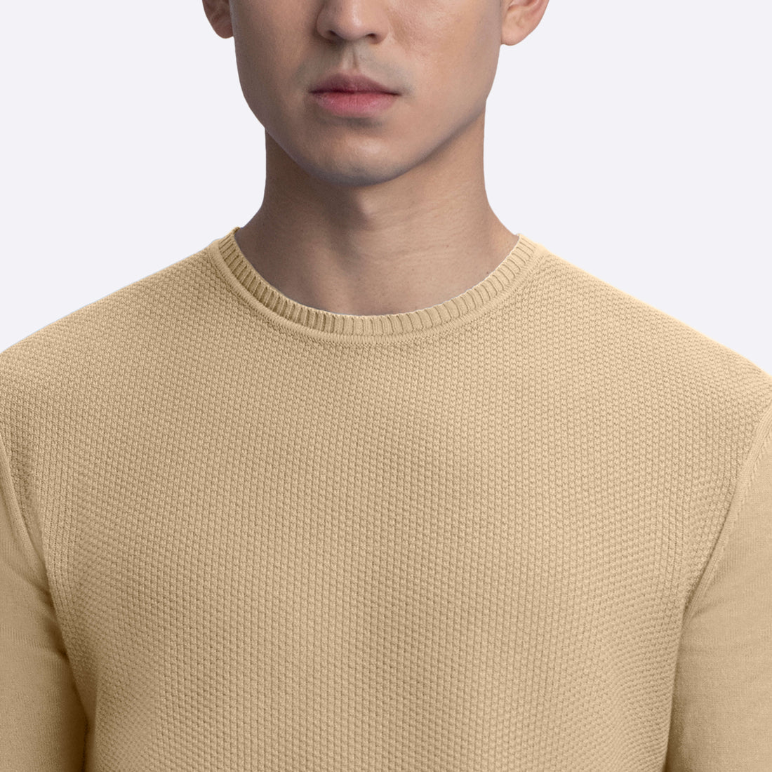 Bird's Eye Crew Neck Sweater